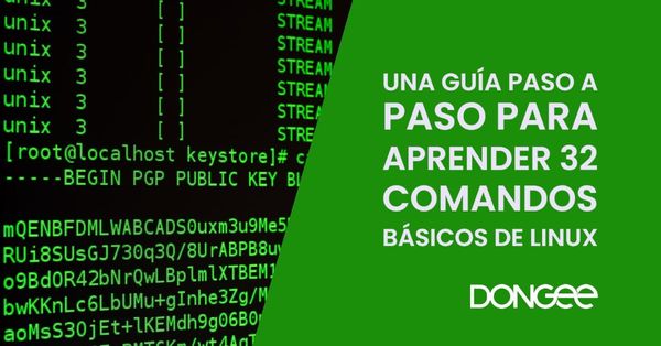 comandos basicos de linux