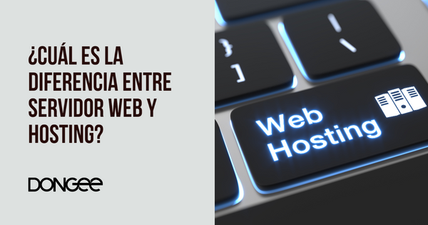 diferencia entre servidor web y hosting