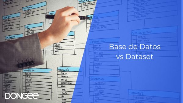 Base de Datos vs Dataset: Cuándo y Cómo Utilizar Cada Uno